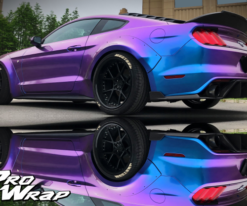 wrap xe, dán đổi màu xe Mustang wrap Chameleon Blue Purple