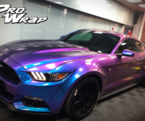 wrap xe, dán đổi màu xe Mustang wrap Chameleon Blue Purple