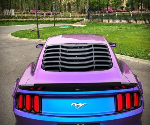 wrap xe, dán đổi màu xe Mustang wrap Chameleon Blue Purple