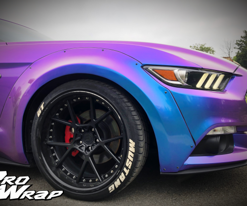 wrap xe, dán đổi màu xe Mustang wrap Chameleon Blue Purple