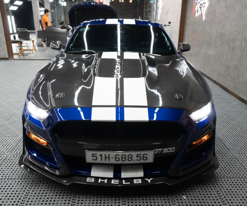Wrap Ford Mustang 5.0 với thiết kế Snake xanh nổi bật